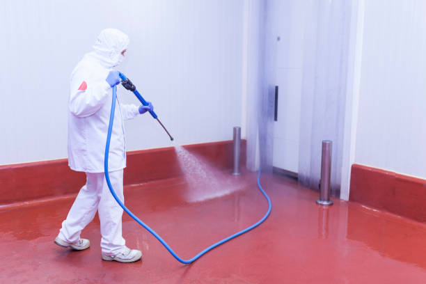 Best Pre-Holiday Cleaning  in Broomall, PA